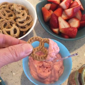 Tastefully Simple Food sample 1
